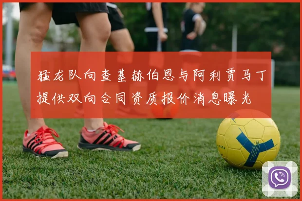 猛龙队向查基赫伯恩与阿利贾马丁提供双向合同资质报价消息曝光